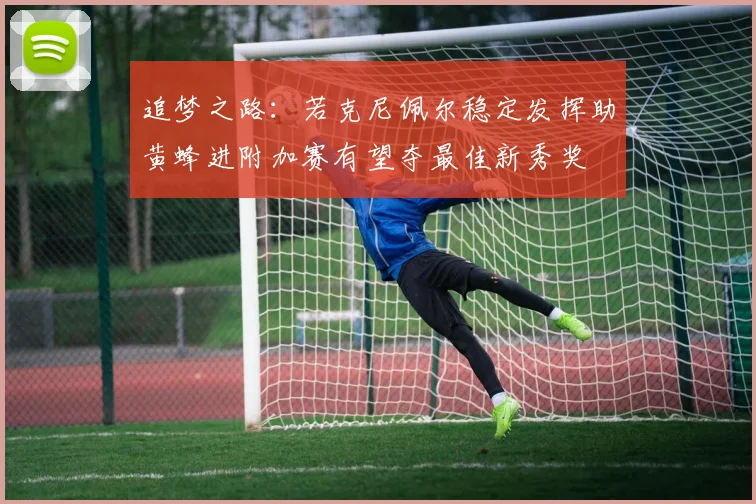 追梦之路：若克尼佩尔稳定发挥助黄蜂进附加赛有望夺最佳新秀奖