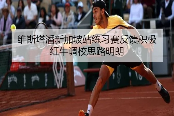 维斯塔潘新加坡站练习赛反馈积极 红牛调校思路明朗